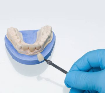 close up of hand and tool for checking color of dentures in dental laboratory