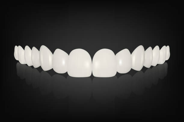 vector 3d realistic render white denture set closeup isolated dentistry and orthodontics 3
