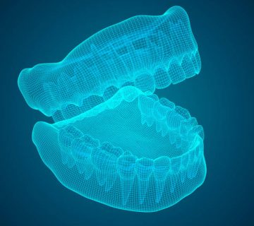 human jaw 3d vector layout medicine and health